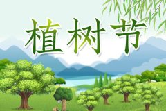 3.12植树节：种下绿色，放飞希望！