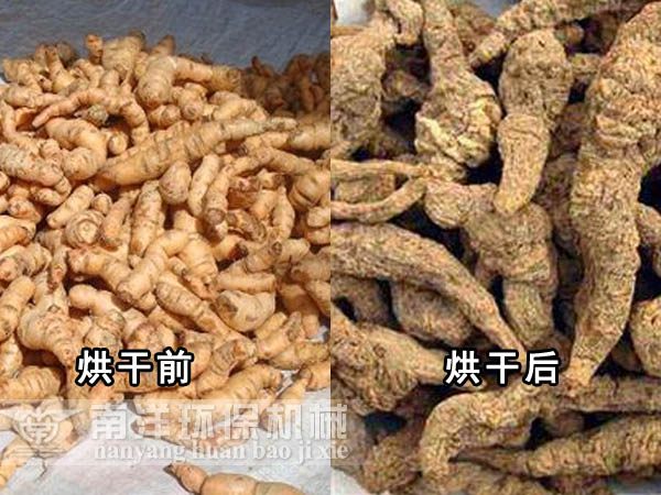烘干前的地黄与烘干后的地黄