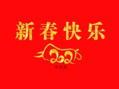 南洋环保祝您新春快乐 牛年大吉！